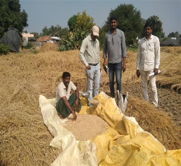 Peddapalli District - Peddapalle Division                                                                                                                                                                                                                  - Crop Cutting Expts.,                                                                                                                                   - Attended PMFBY Paddy harvesting supervision at Peddampet village of Srirampur Mandal                                                                                                                                                                            - dt.27/11/2019          